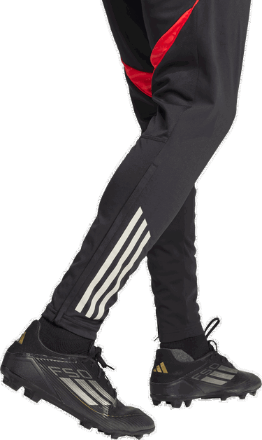 Tepláky adidas Performance Benfica Tiro 25 Competition Training Pants Čierna | JM1216, 3