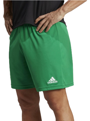 Šortky adidas Originals Entrada 22 Shorts Zelené | ic7405-adcz