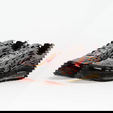 Tenisky a topánky Nike Air Max TL 2.5 Šedá | FZ4110-006, 2