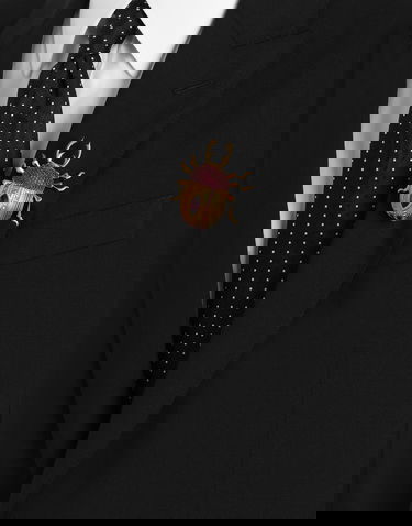 Spona Dolce & Gabbana Dolce & Gabbana Beetle-shaped Brooch With Rhinestones Rôznofarebný | WPR7A1W1111F0374, 1