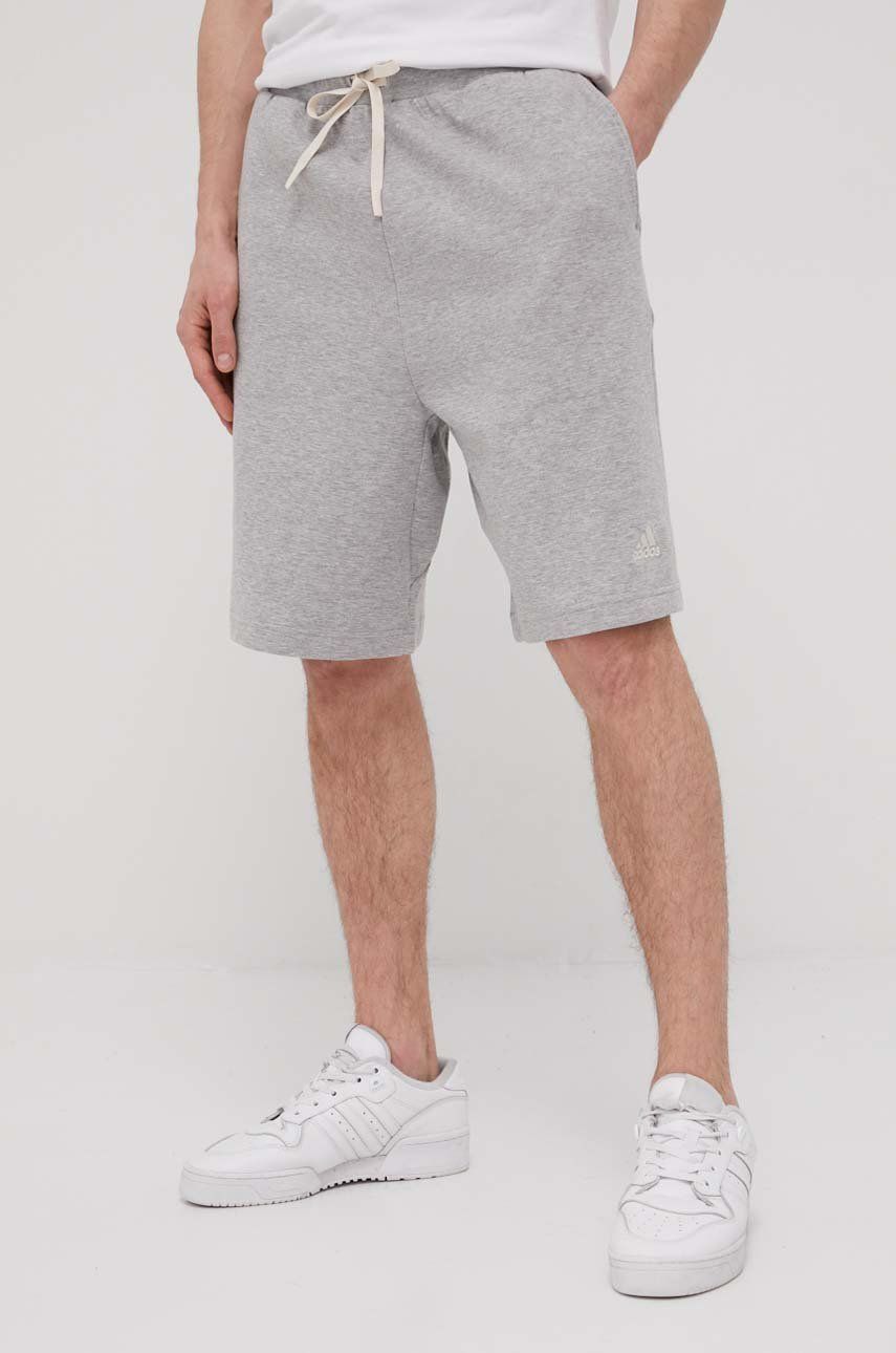 Šortky adidas Performance adidas Performance HB0480 Shorts Šedá | HB0480, 0