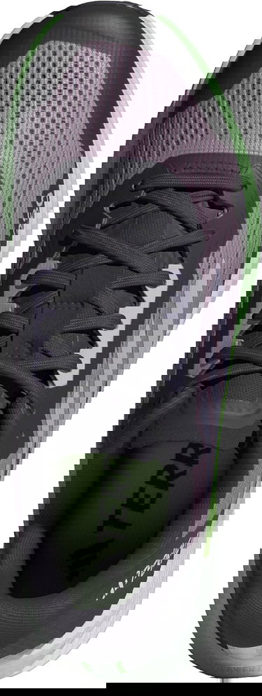 Tenisky a topánky adidas Performance adidas Terrex TERREX AGRAVIC FLOW 2 W Čierna | id2504, 3