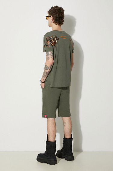 Tričko Alpha Industries T-Shirt Dragon With Print Zelené | 136506.142, 1