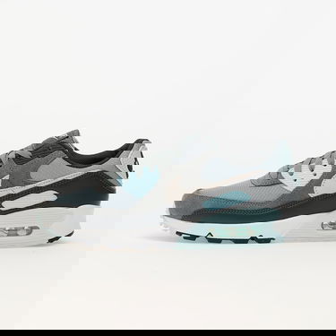 Tenisky a topánky Nike Air Max 90 Light Šedá | DM0029-009, 0
