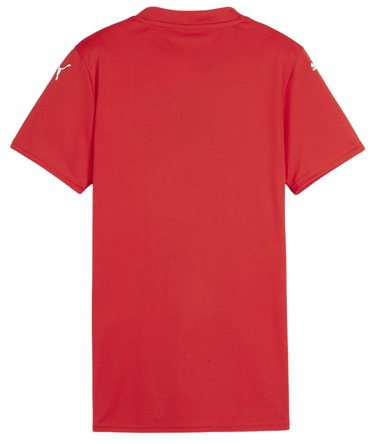 Dres Puma teamGLORY Jersey Wmns Červená | 705742-01, 1