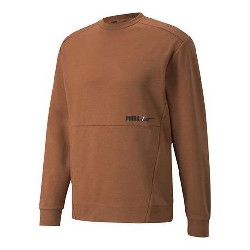 Sveter Puma Winterized Crew Logo Sweatshirt Hnedá | 846545-17, 0
