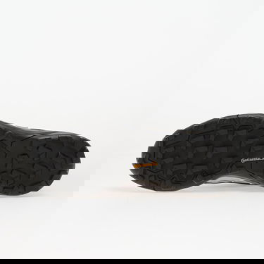 Tenisky a topánky adidas Performance Terrex Skychaser GORE-TEX Hiking Shoes Fialová | JQ9934, 1