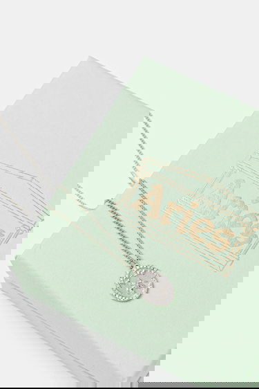 Náhrdelník Aries Aries Chain Necklace with Fly Pendant Metalická | AR9020603, 2