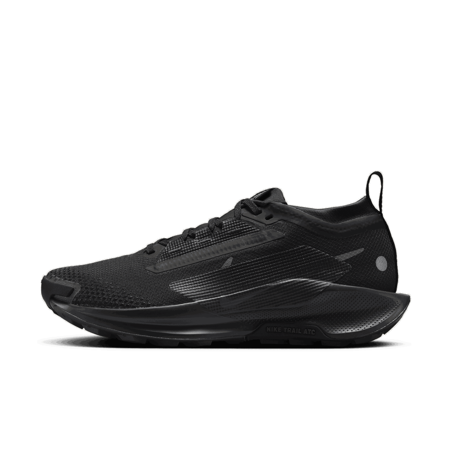 Tenisky a topánky Nike Pegasus Trail 5 GORE-TEX Čierna | FQ0912-002, 1