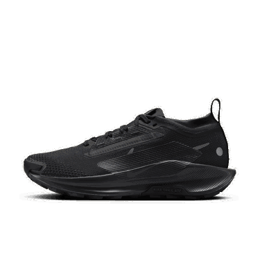 Tenisky a topánky Nike Pegasus Trail 5 GORE-TEX Čierna | FQ0912-002, 1
