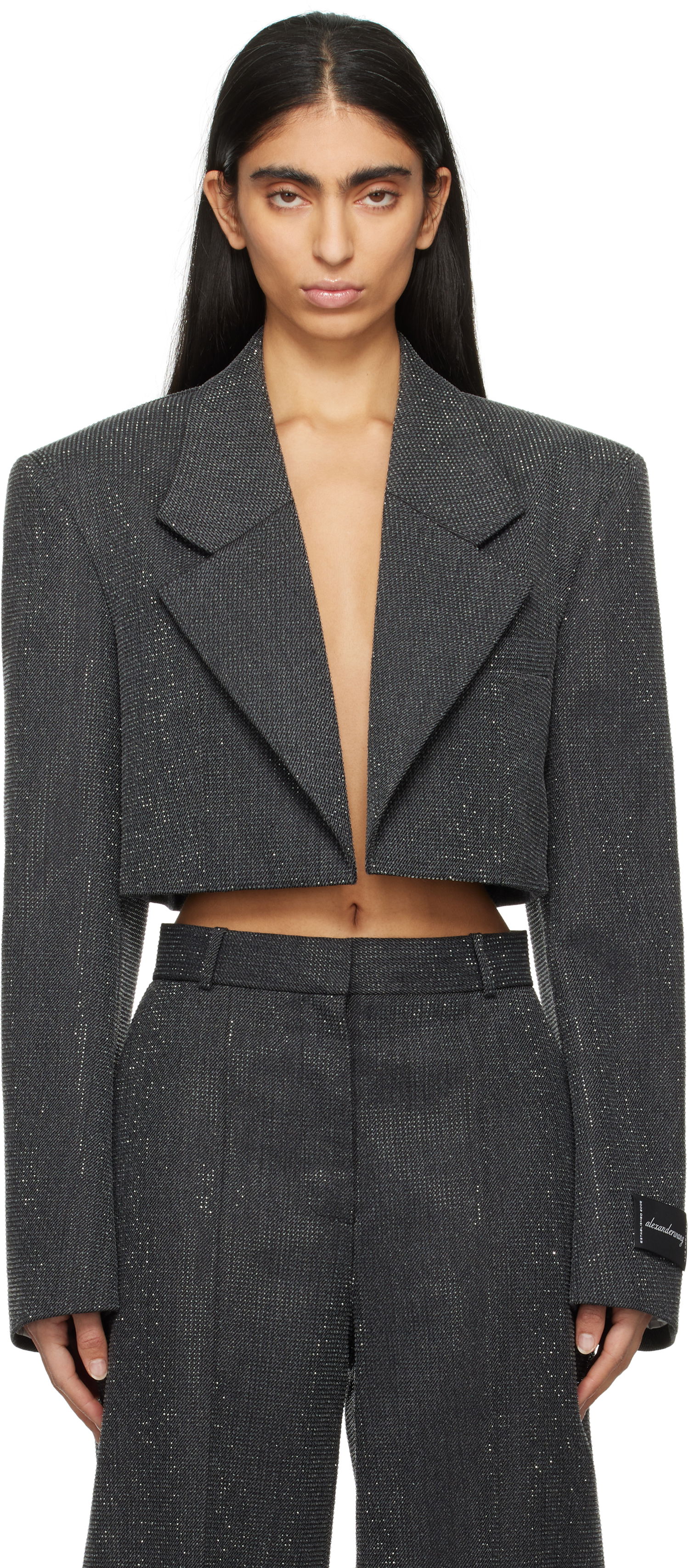 Bunda Alexander Wang Cropped Glitter Blazer Šedá | 1WC1252619, 0