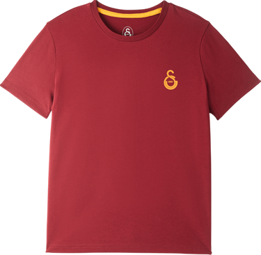 Tričko Puma Galatasaray Istanbul Logo T-Shirt Vínová | e251047-100, 0