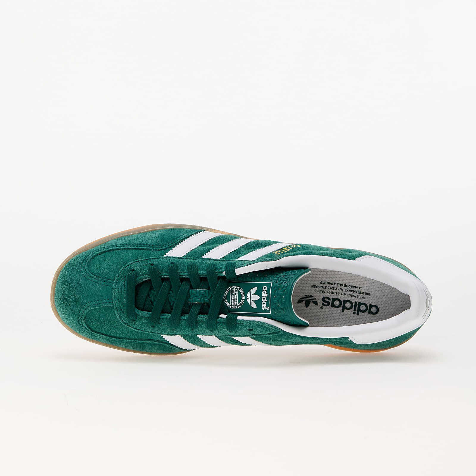 Gazelle Indoor