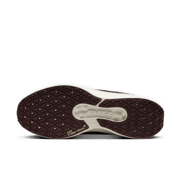 Tenisky a topánky Nike Winflo 11 GORE-TEX Šedá | FQ1358-003, 1