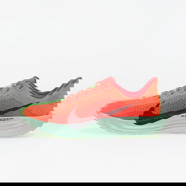 Tenisky a topánky Nike Pegasus Plus Červená | FQ7262-600, 0