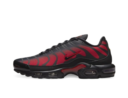 Tenisky a topánky Nike Air Max Plus Červená | DZ4507-600