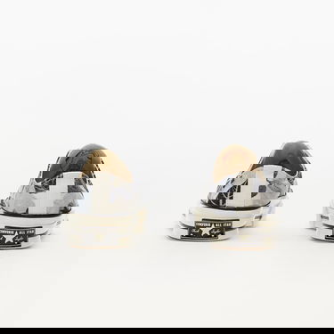 Tenisky a topánky Converse Chuck 70 "Tropical Leaf" Šedá | A00483C, 3