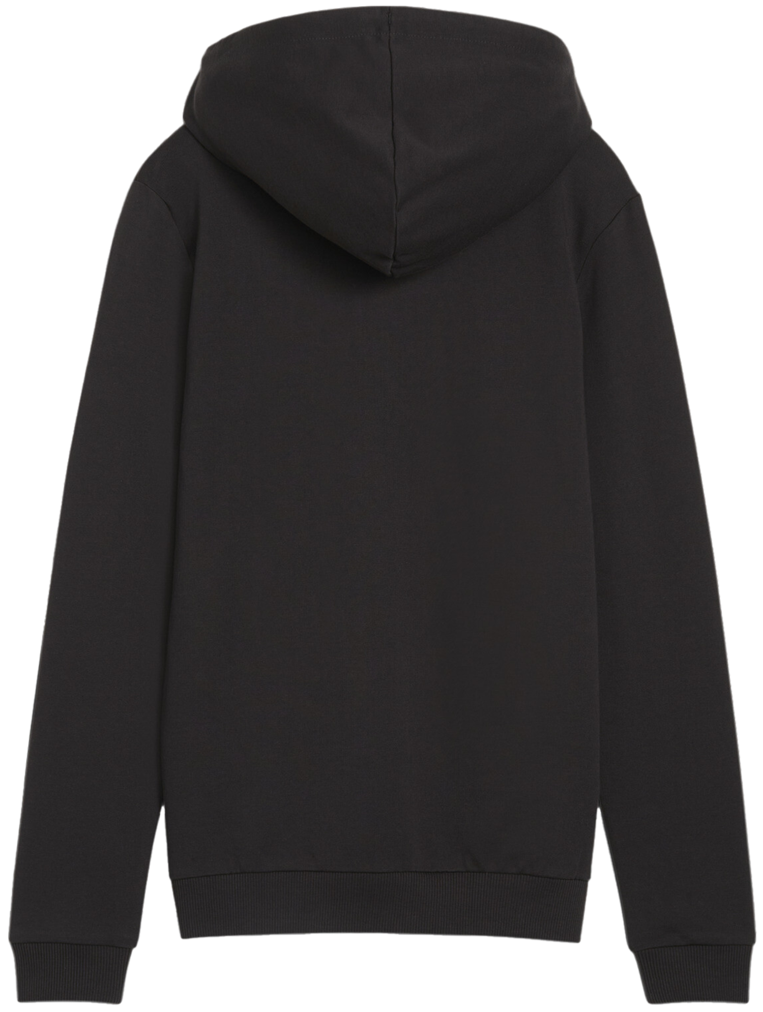 Mikina Puma teamGOAL Casuals Hoody Čierna | 658597-03, 1
