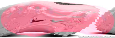 Tenisky a topánky Nike LEGEND 10 PRO FG Ružová | dv4333-601, 1