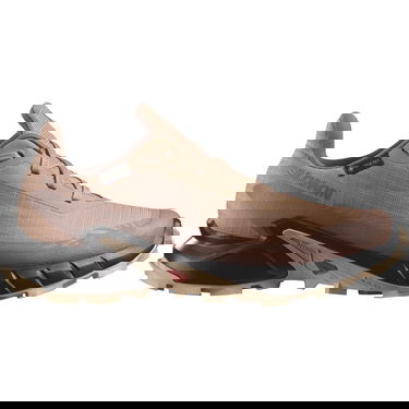 Tenisky a topánky Salomon Alphacross 5 Gore-Tex Béžová | L47595100, 1