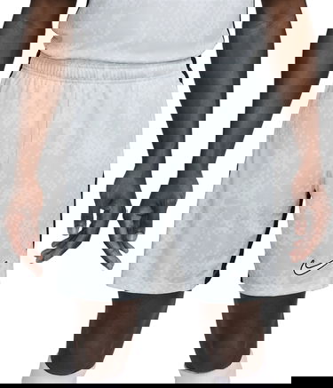 Šortky Nike Printed Training Shorts Šedá | fn2413-043, 0