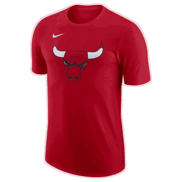 Tričko Nike NBA Chicago Bulls Essential Červená | FJ0231-657, 0