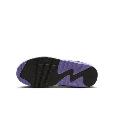 Tenisky a topánky Nike Air Max 90 LTR Fialová | CD6864-129, 3