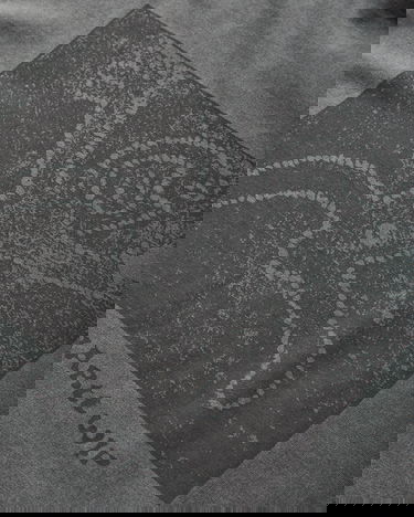 Tričko Carhartt WIP Terrestrial Longsleeve T-Shirt Šedá | I035227 2F1PG, 4