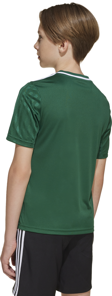 Dres adidas Originals Adidas Campeon 25 Jersey Zelené | jj4167, 6