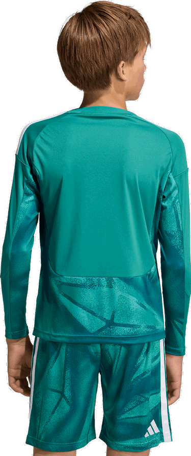 Dres adidas Originals Germany Goalkeeper Long Sleeve Zelené | jz4576, 3