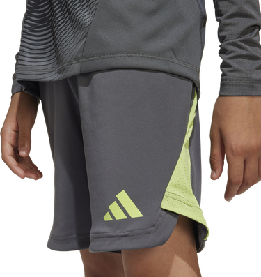 Šortky adidas Originals Tiro 25 Pro Goalkeeper Shorts Šedá | jn2025, 2