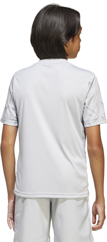 Tričko adidas Originals Adidas Team Icon25 Jersey Šedá | jn6984, 6