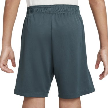 Šortky Nike Nike THFC DF Strike Football Shorts Zelené | fq2647-359, 1