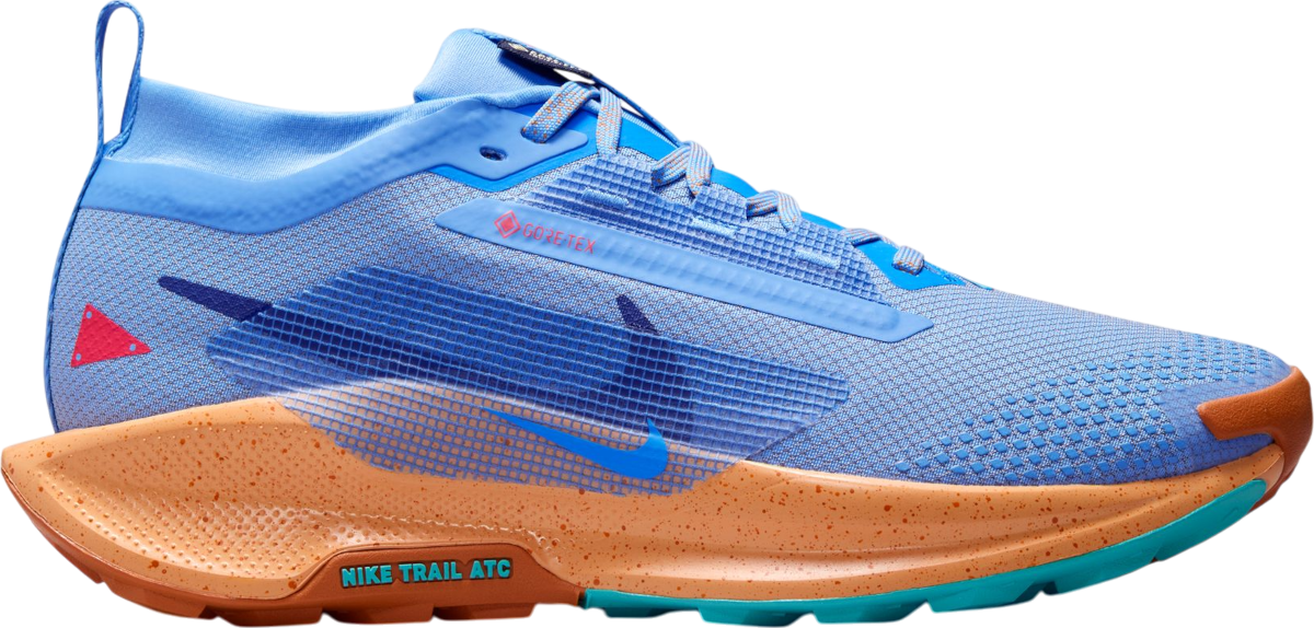 Tenisky a topánky Nike Pegasus Trail 5 GORE-TEX Modrá | fq0912-401, 0