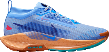 Tenisky a topánky Nike Pegasus Trail 5 GORE-TEX Modrá | fq0912-401, 0