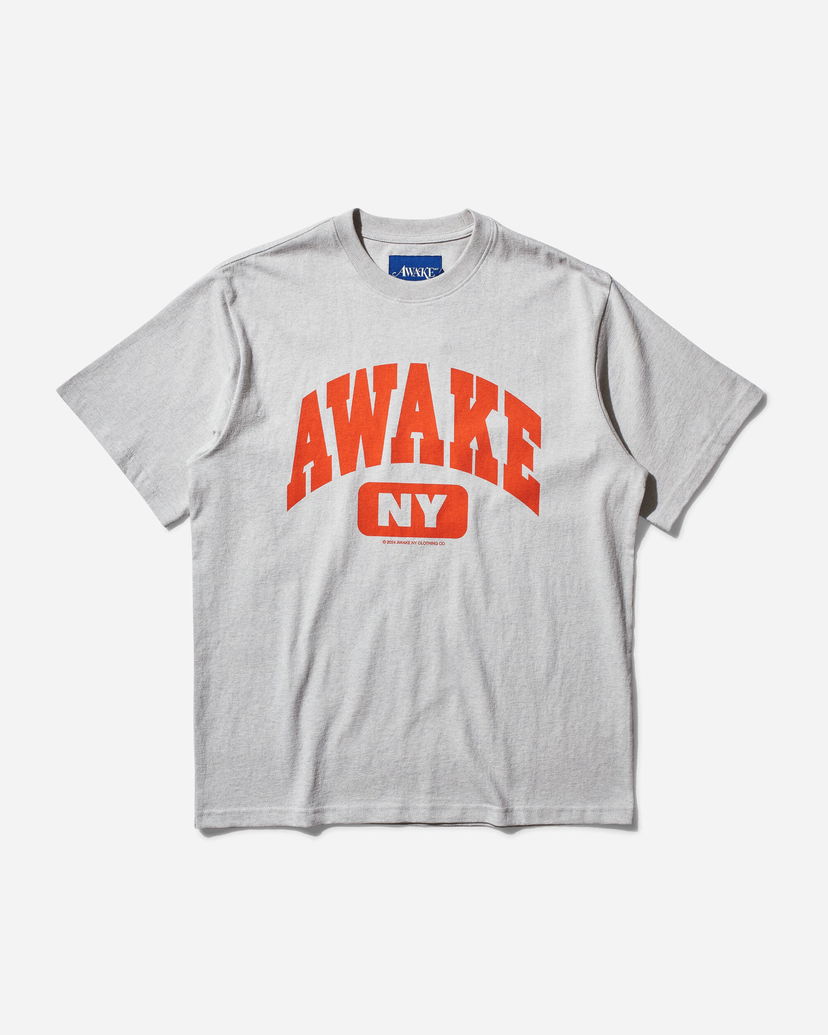 Tričko Awake NY Varsity T-Shirt Heather Šedá | AWK-FW24-TS308 CHHE