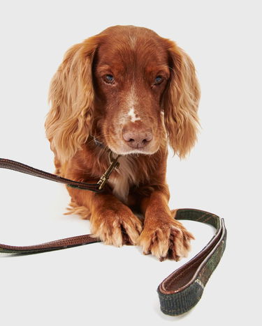 Doplnky Barbour Classic Tartan Dog Lead Rôznofarebný | DAC0009TN11, 1