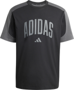 Two-Tone Short Sleeve Collegiate T-Shirt