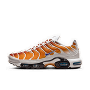 One Block Down x Air Max Plus "Chutney'"