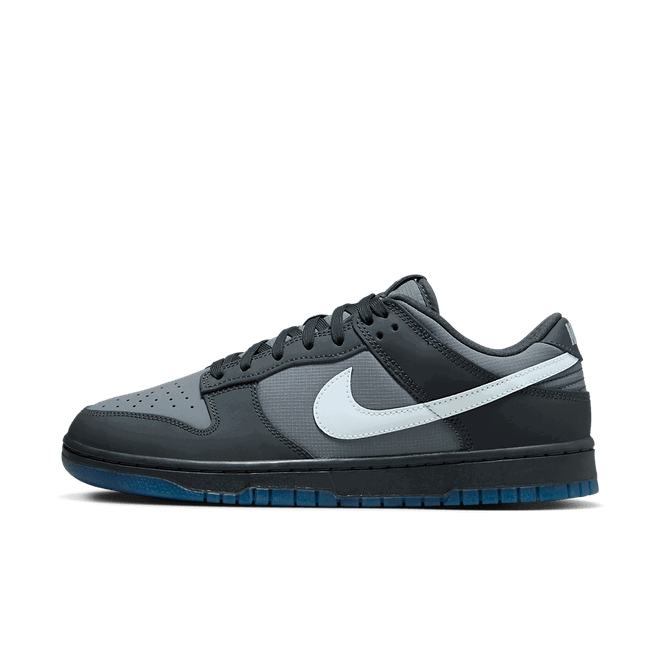 Tenisky a topánky Nike Dunk Low "Anthracite" Šedá | FV0384-001, 0