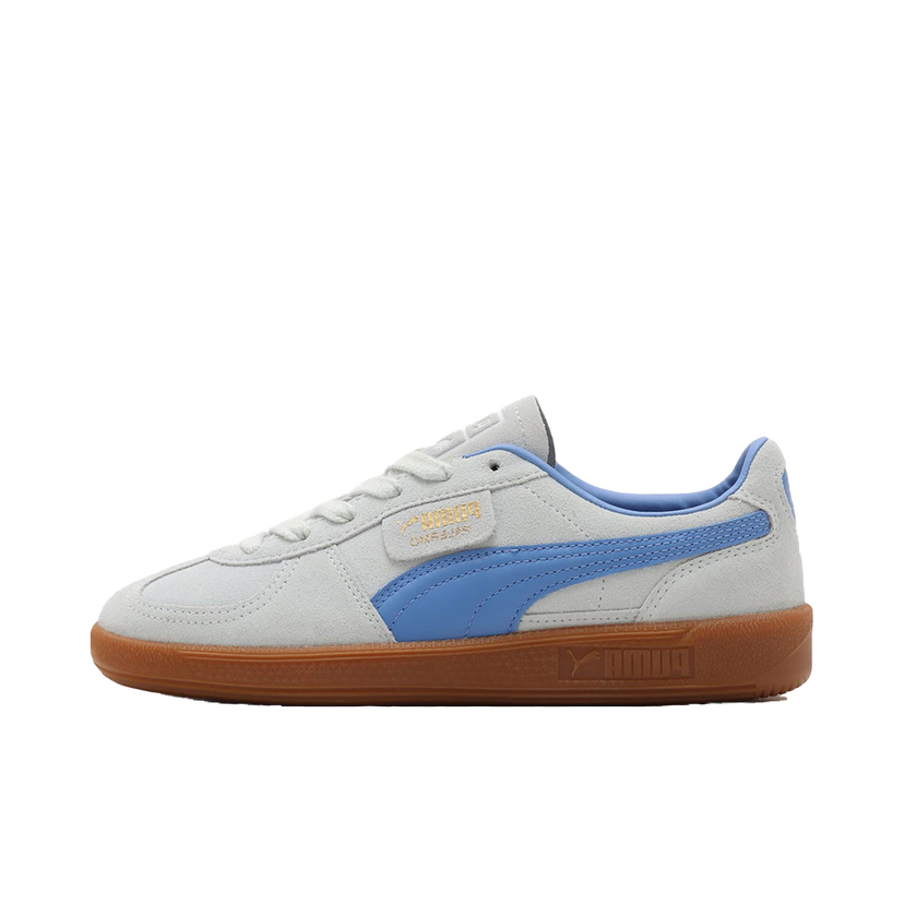 Tenisky a topánky Puma Palermo Dewdrop Šedá | 396463-04