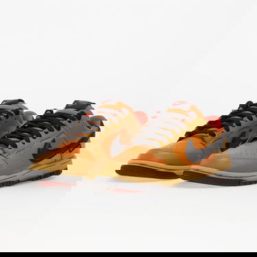 Tenisky a topánky Nike Dunk Low Gtx Hnedá | HQ2053-700, 5