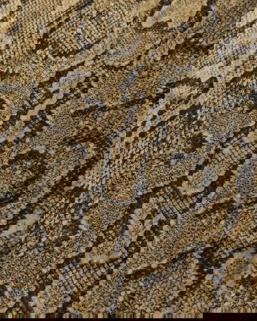 Sveter Dries Van Noten Snakeskin Print Longsleeve T-Shirt Béžová | 251-021131-1620 101, 3