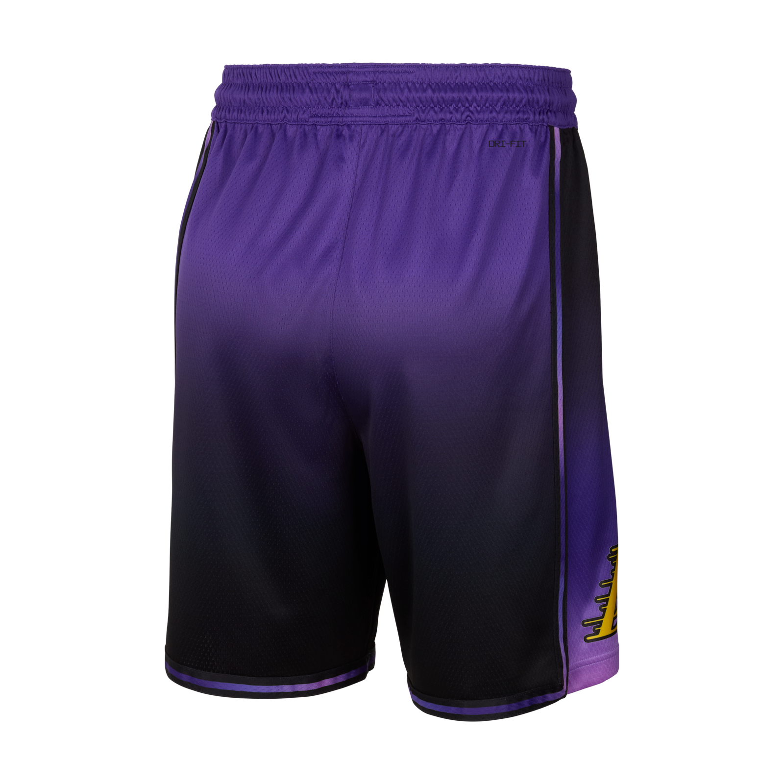 Basketball Swingman Shorts