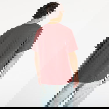 Tričko Dickies Short Sleeve T-Shirt Mapleton Vínová | DK0A4XDBL161, 2