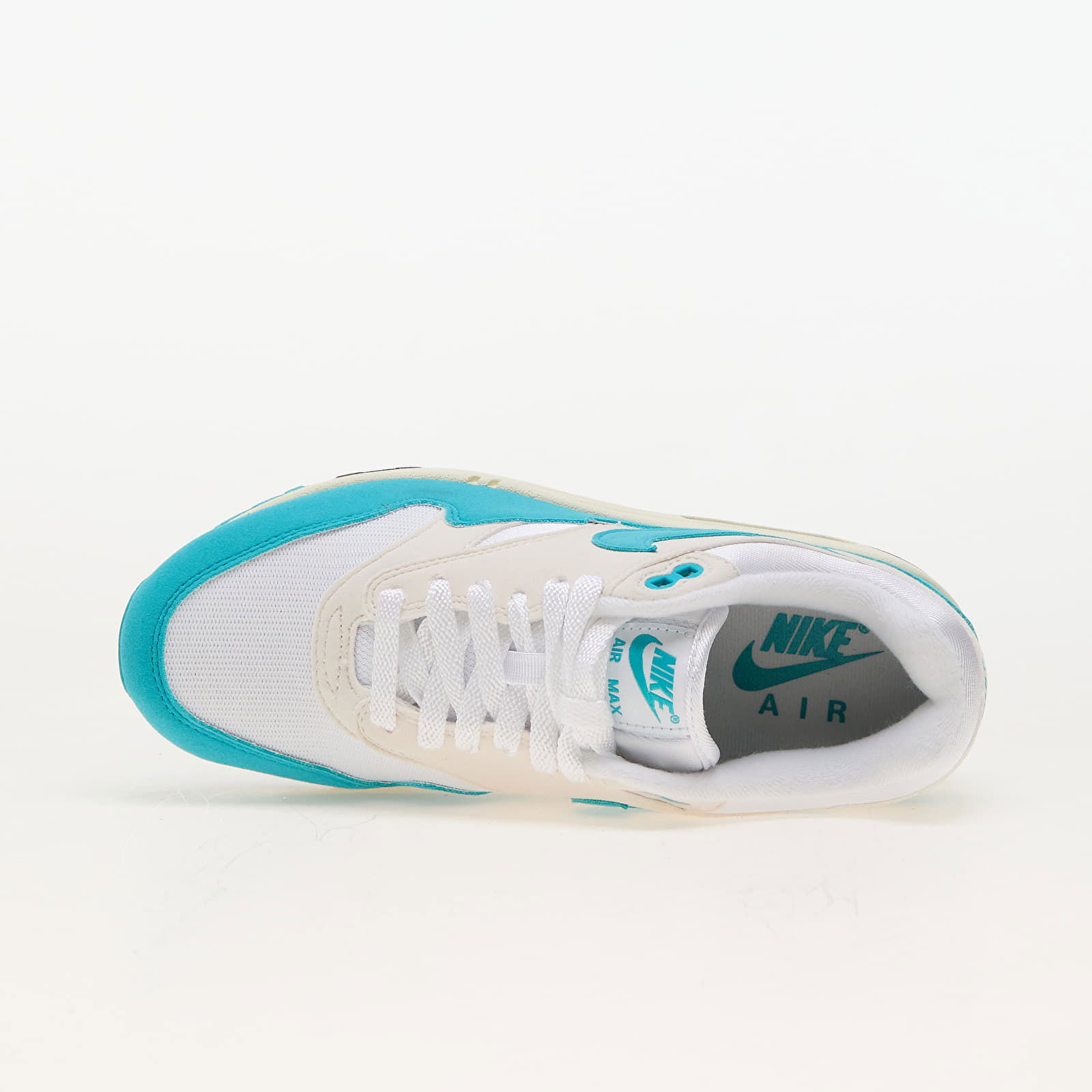 Air Max 1 "Dusty Cactus"