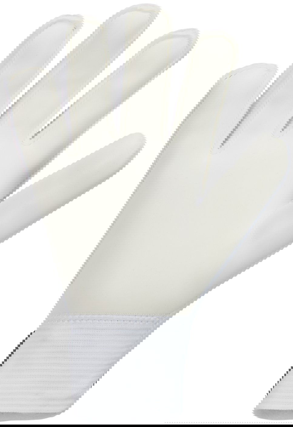 Rukavice Nike Goalkeeper Gloves Match Rôznofarebný | cq7795-637, 1