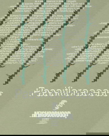 Tričko Neighborhood LS-1 Longsleeve T-Shirt Sage Green Zelené | 241PCNH-LT13 SG, 5