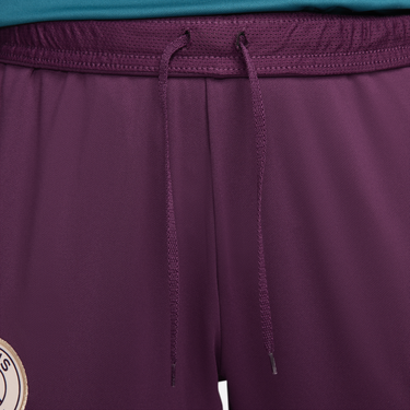 Tepláky Nike Dri-FIT Paris Saint-Germain Strike Vínová | FN9582-610, 2
