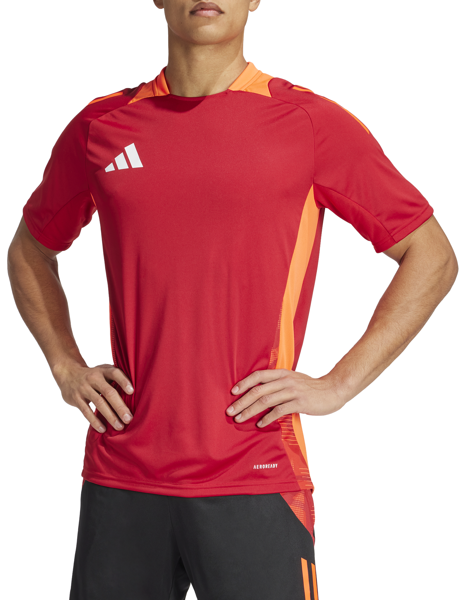 Dres adidas Originals adidas TIRO24 C TR JSY Červená | is1658, 0